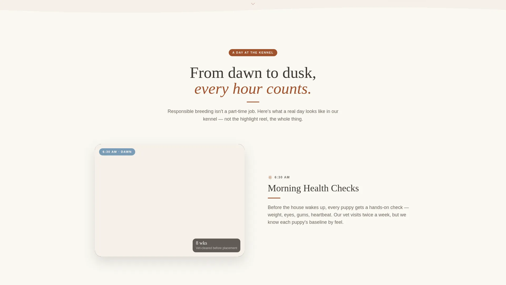 Dog Complete Professional Website Template