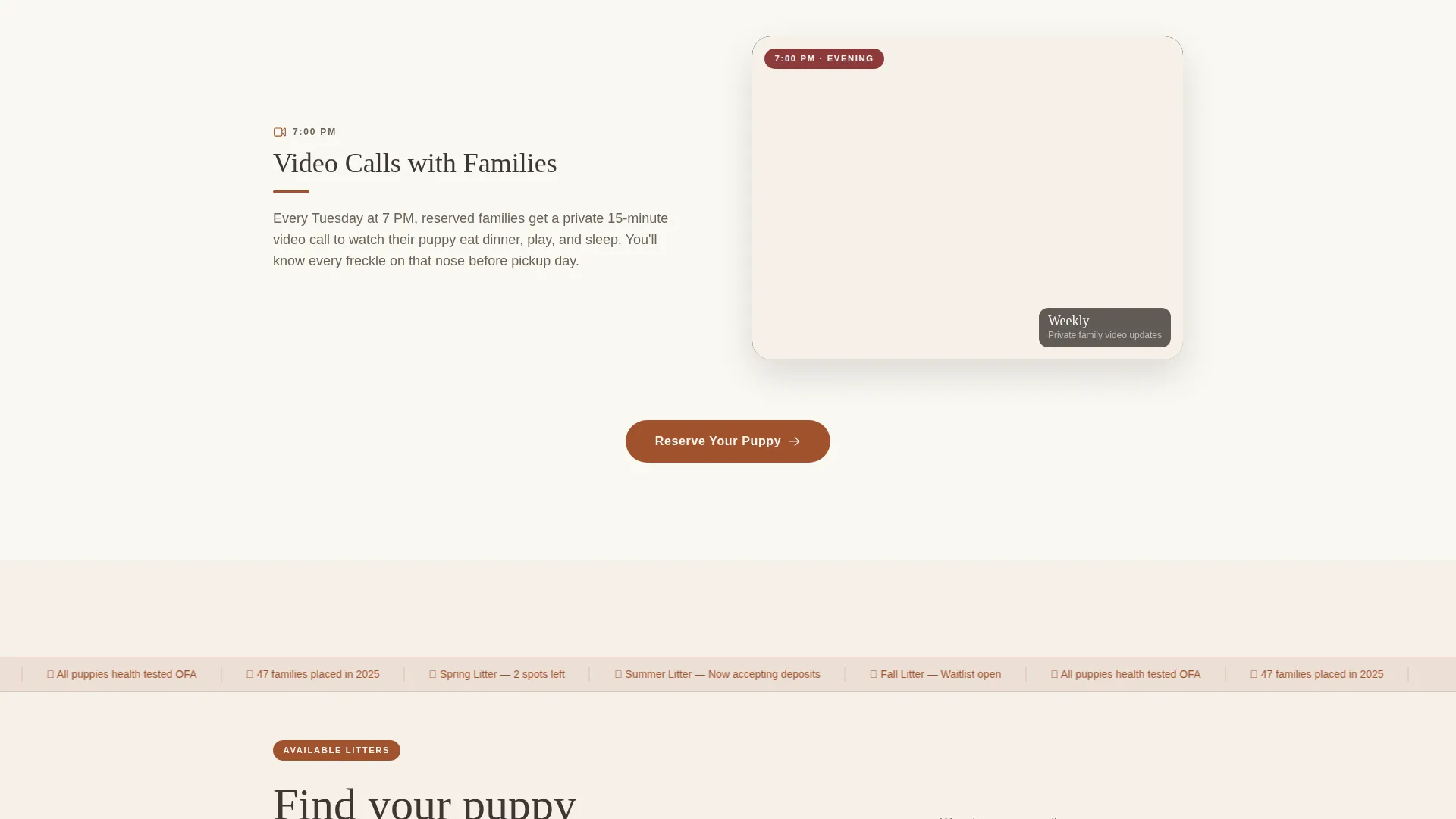 Dog Complete Professional Website Template