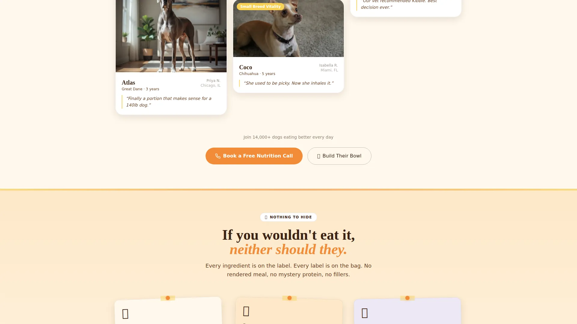 Dog Booking Website Template