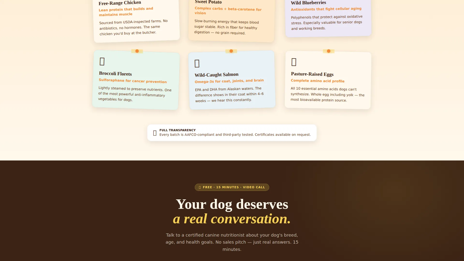 Dog Booking Website Template