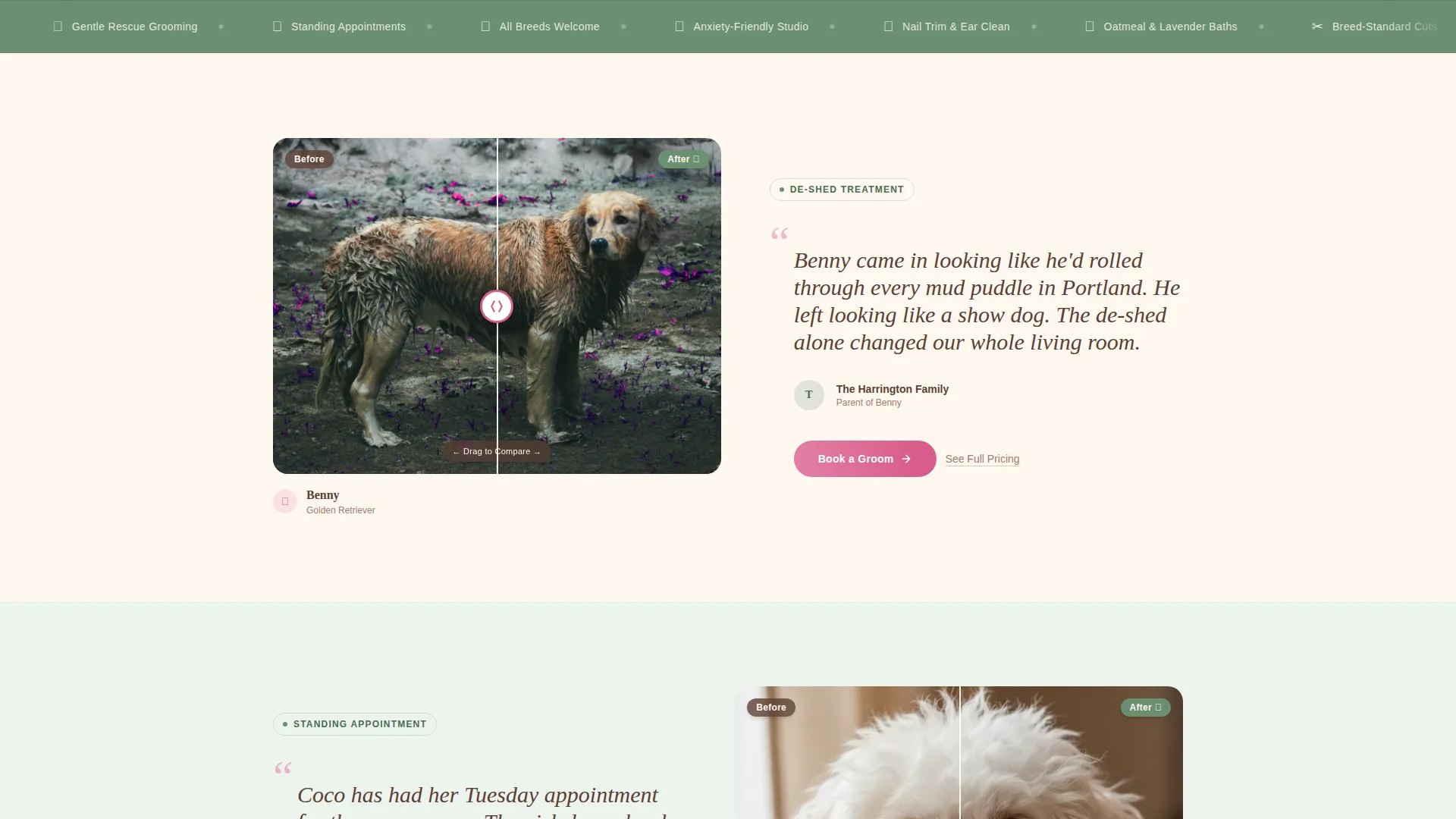 Dog Booking Website Template