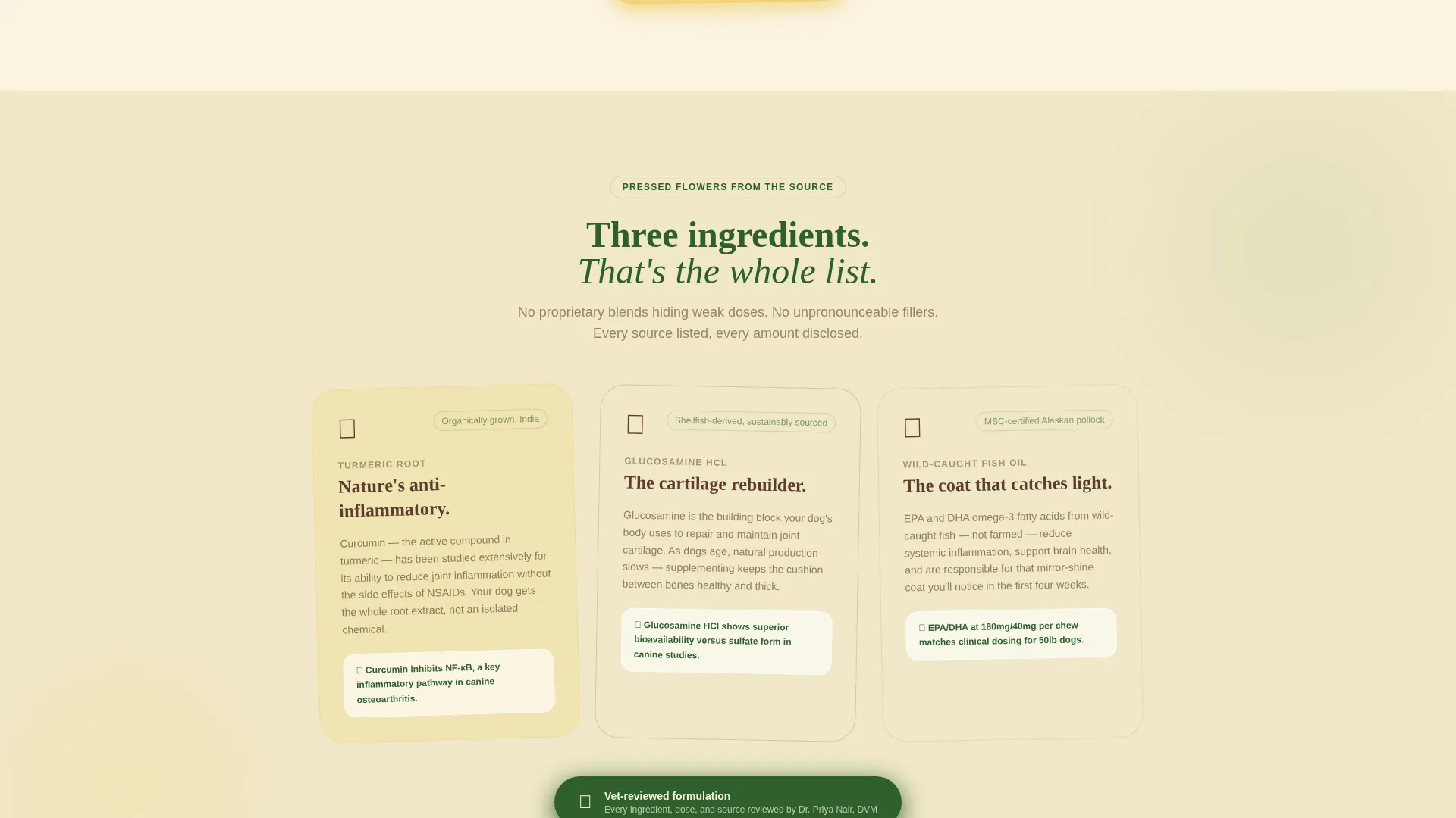 Dog Education Website Template