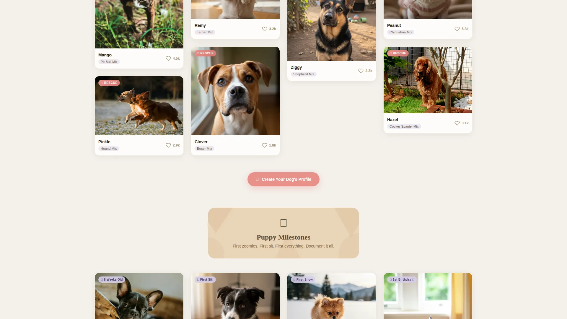 Dog Professional Website Template