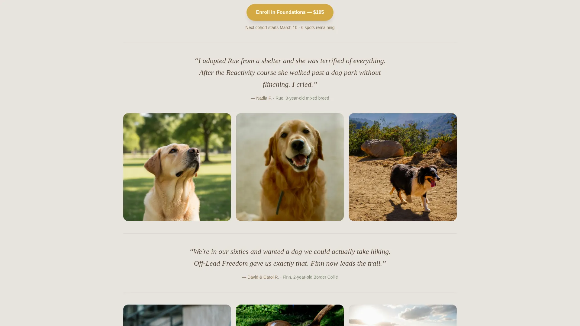 Dog Specialist Professional Website Template