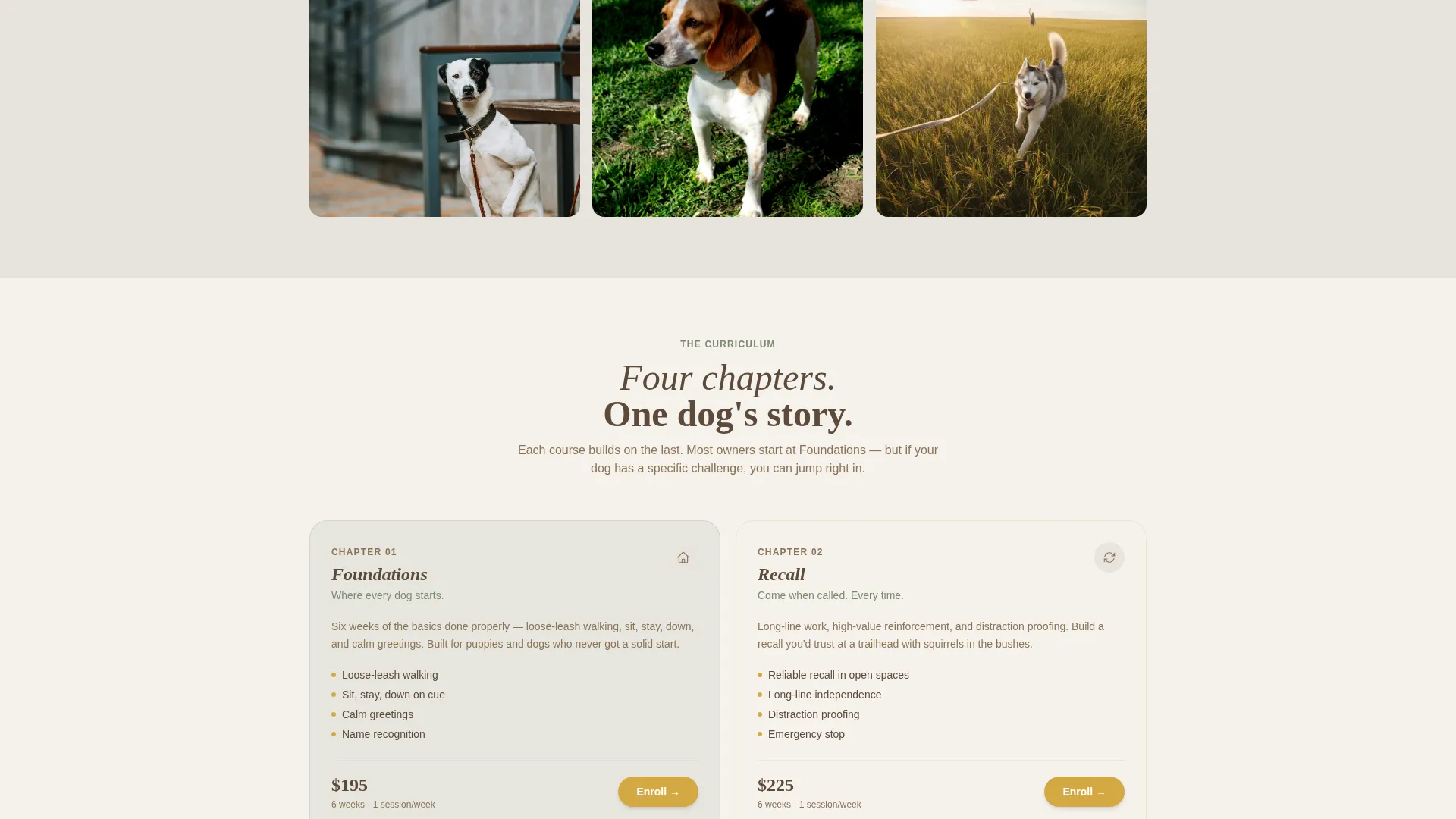Dog Specialist Professional Website Template