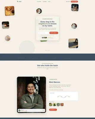 Dog Walking & Pet Sitting Professional Website Template