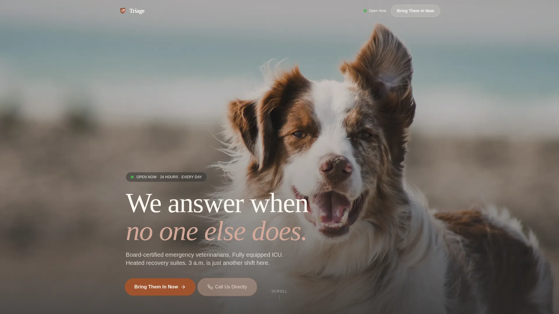 Emergency Vet Hospital Landing Page Template