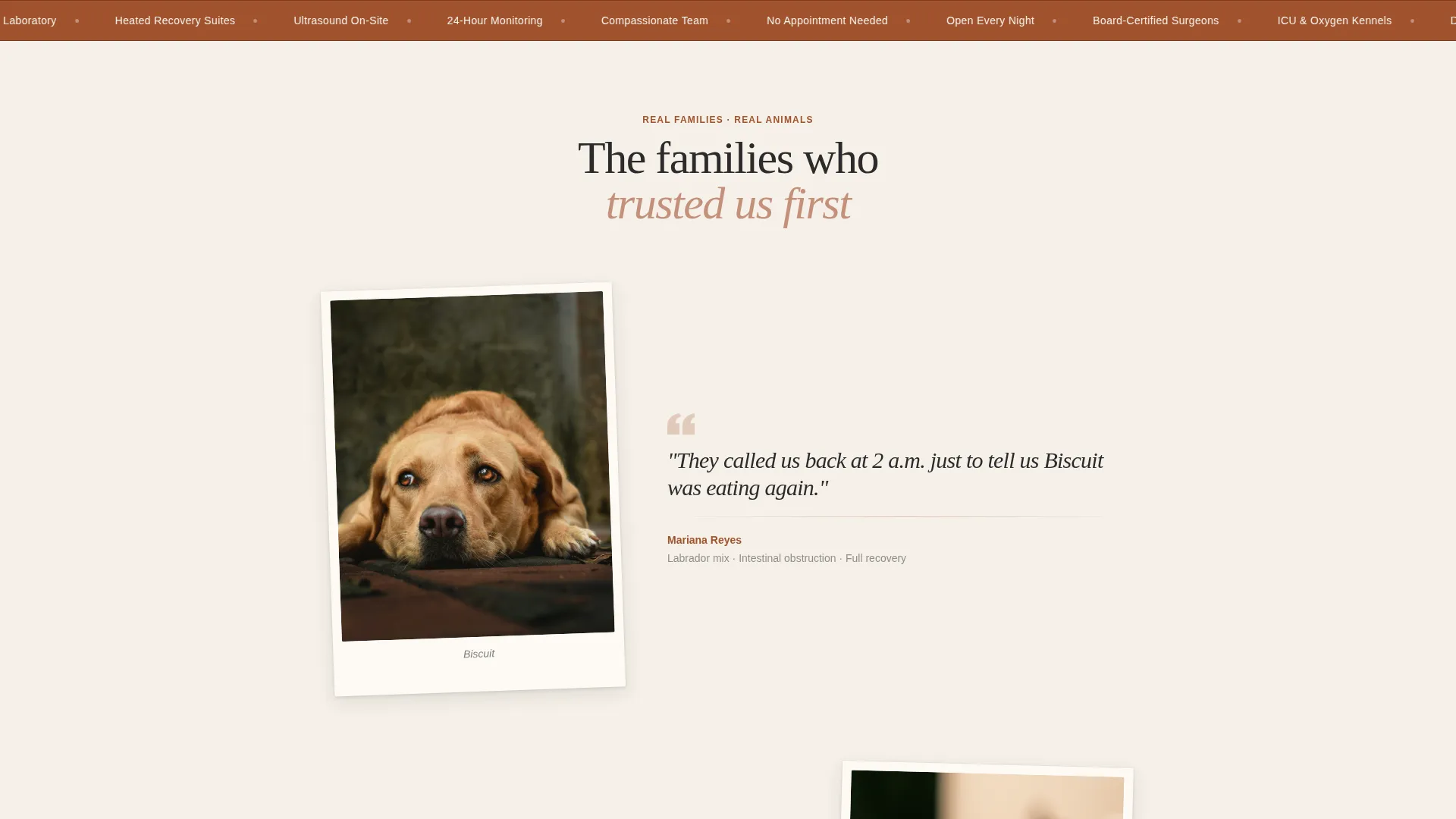 Emergency Vet Hospital Landing Page Template