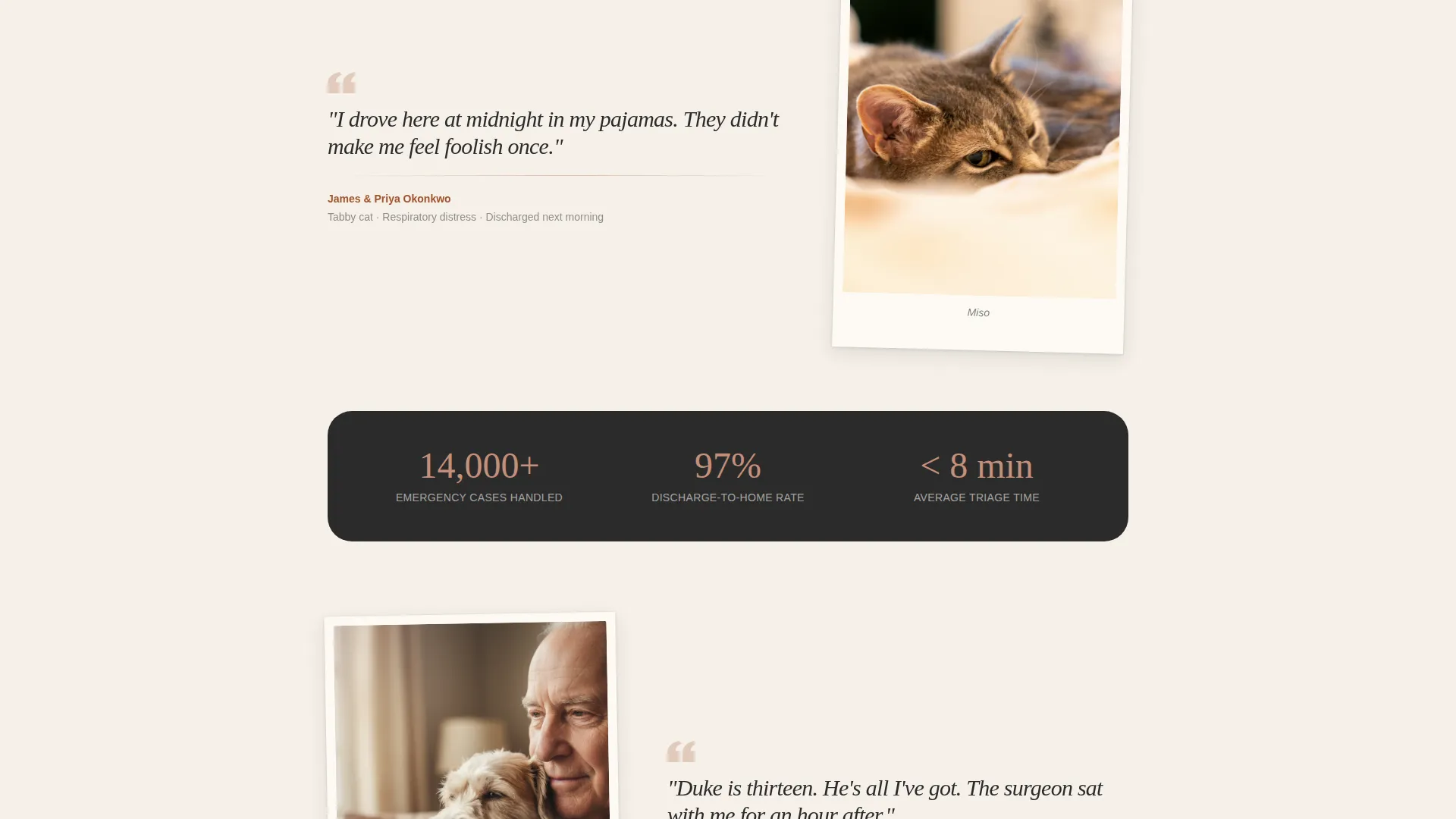 Emergency Vet Hospital Landing Page Template