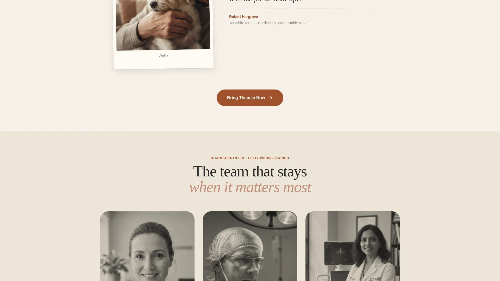 Emergency Vet Hospital Landing Page Template