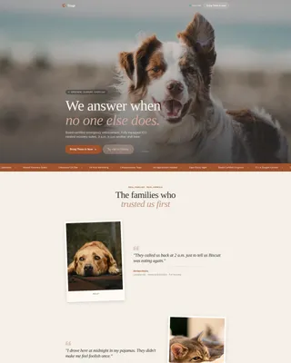 Emergency Vet Hospital Landing Page Template
