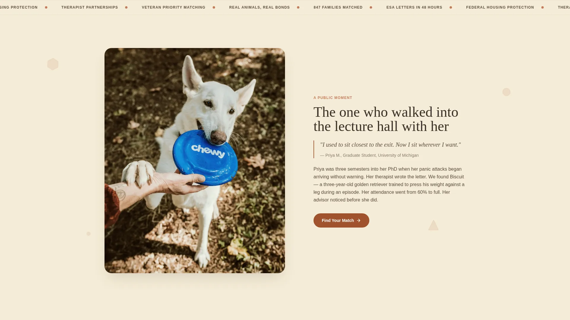 Animal Therapy & Professional Website Template