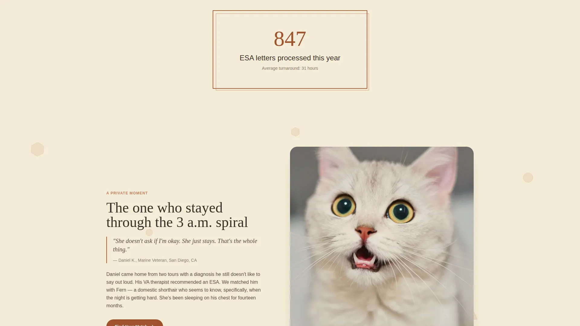 Animal Therapy & Professional Website Template