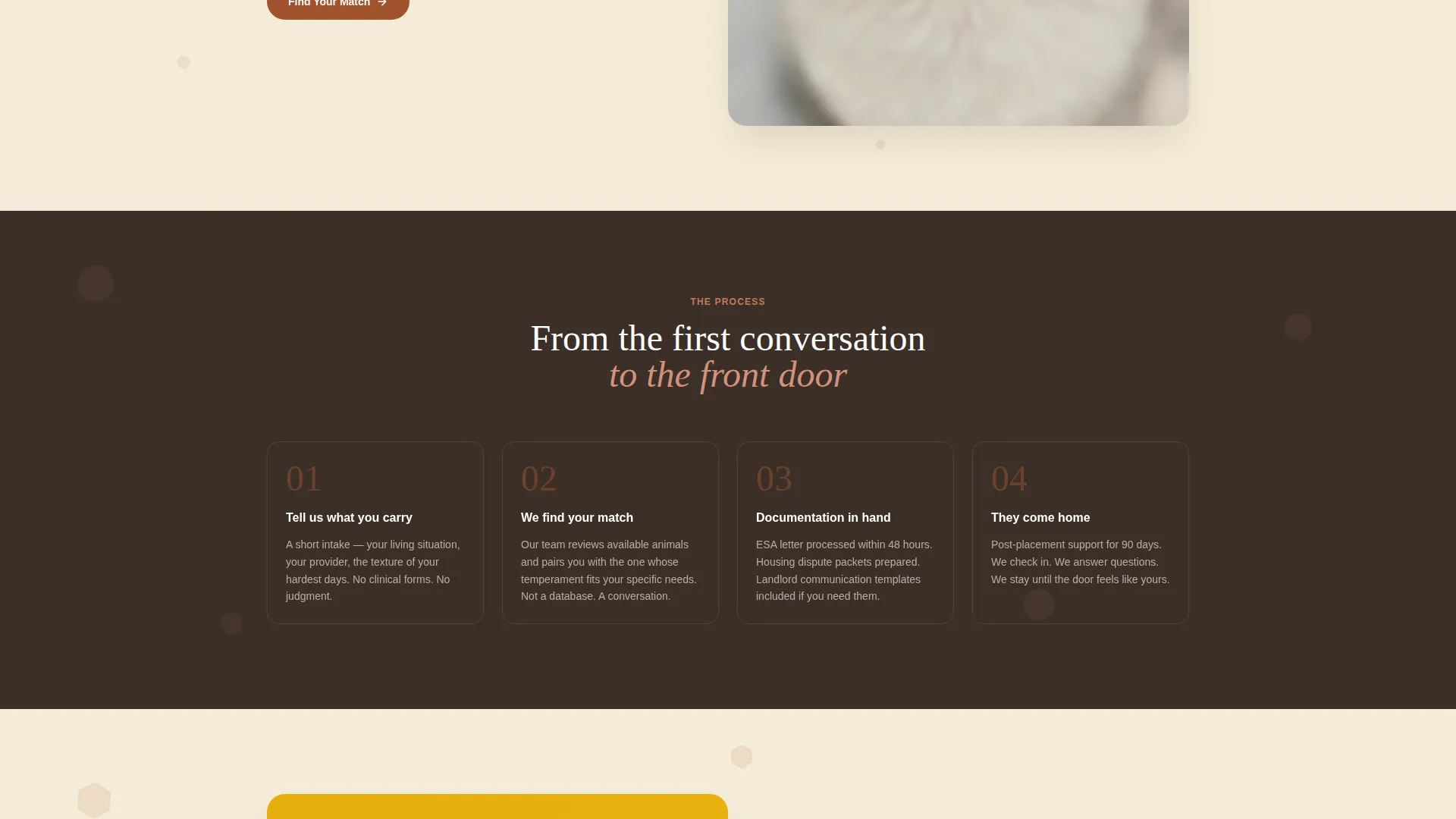 Animal Therapy & Professional Website Template