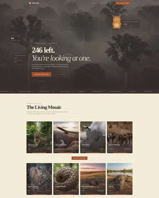 Wildlife & Conservation Portfolio & Case Study Website Template