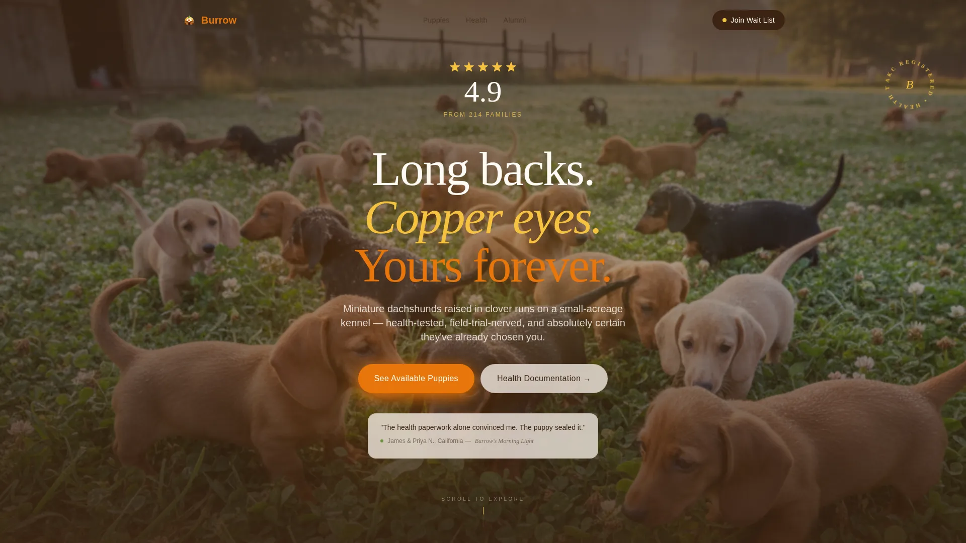 Equine Massage & Bodywork Landing Page Template