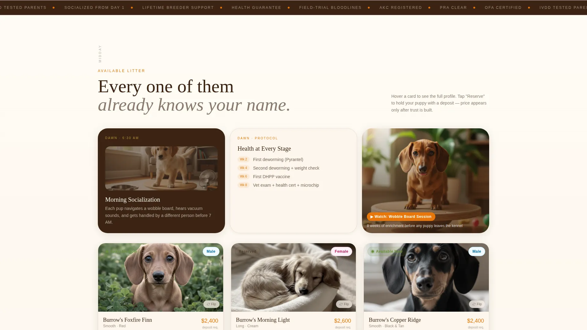 Equine Massage & Bodywork Landing Page Template