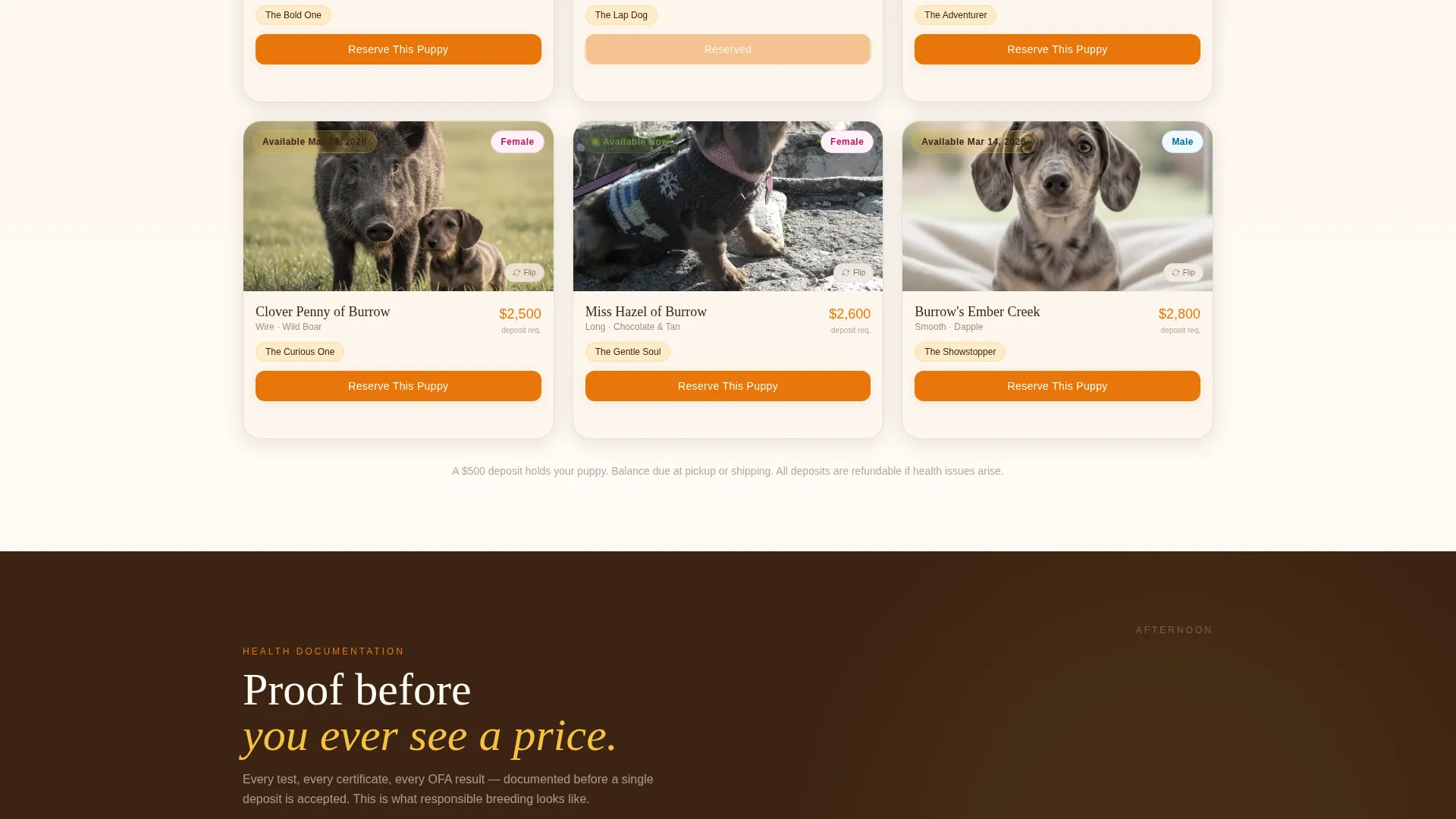Equine Massage & Bodywork Landing Page Template