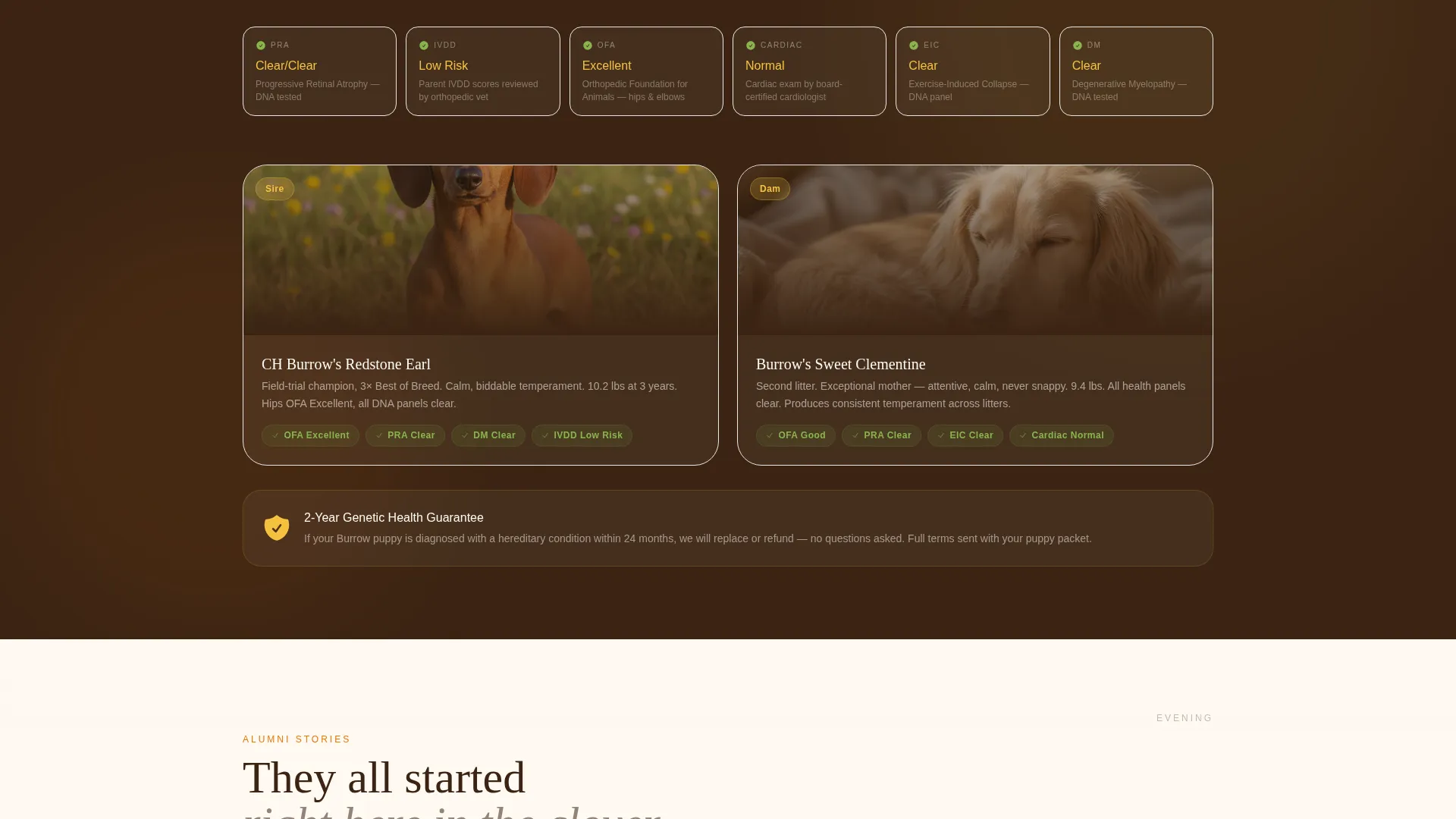 Equine Massage & Bodywork Landing Page Template