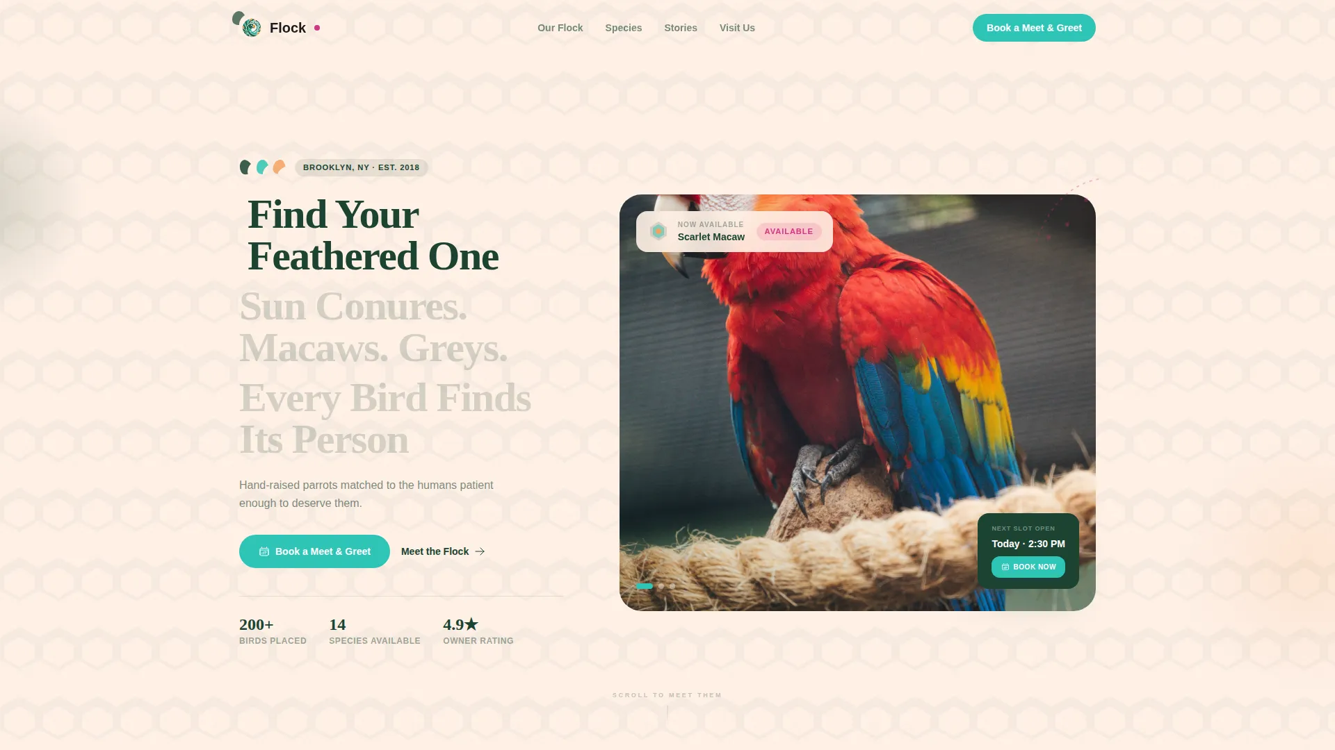 Exotic Bird & Parrot Shop Landing Page Template