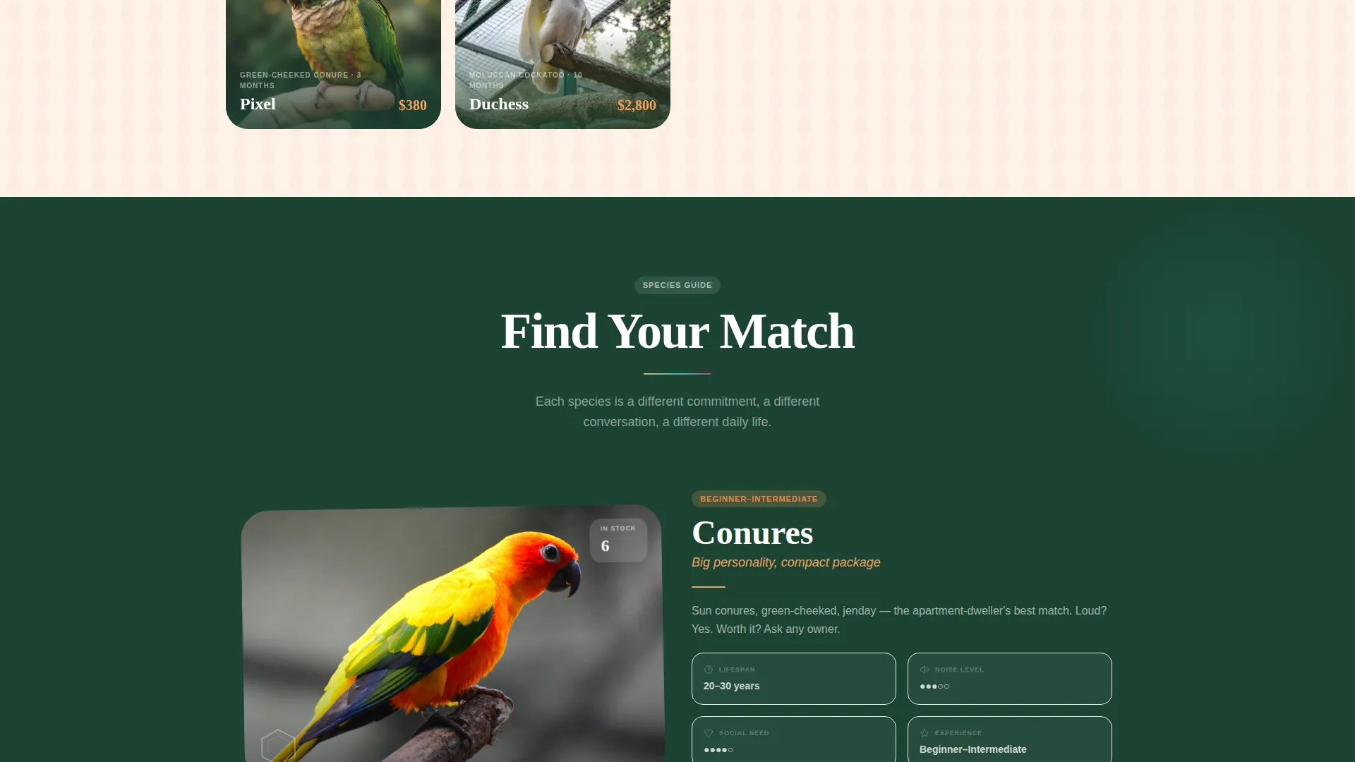 Exotic Bird & Parrot Shop Landing Page Template
