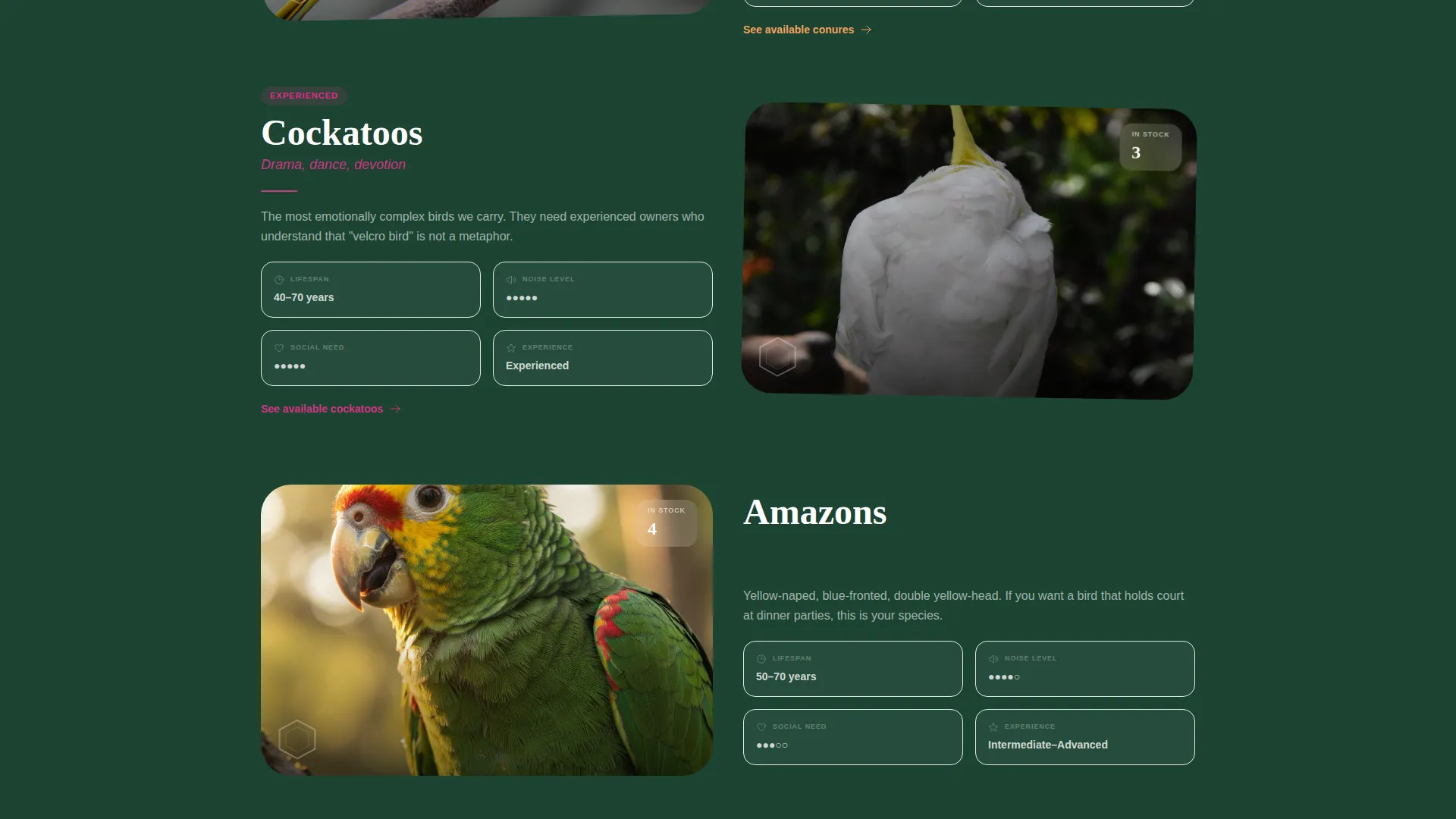 Exotic Bird & Parrot Shop Landing Page Template