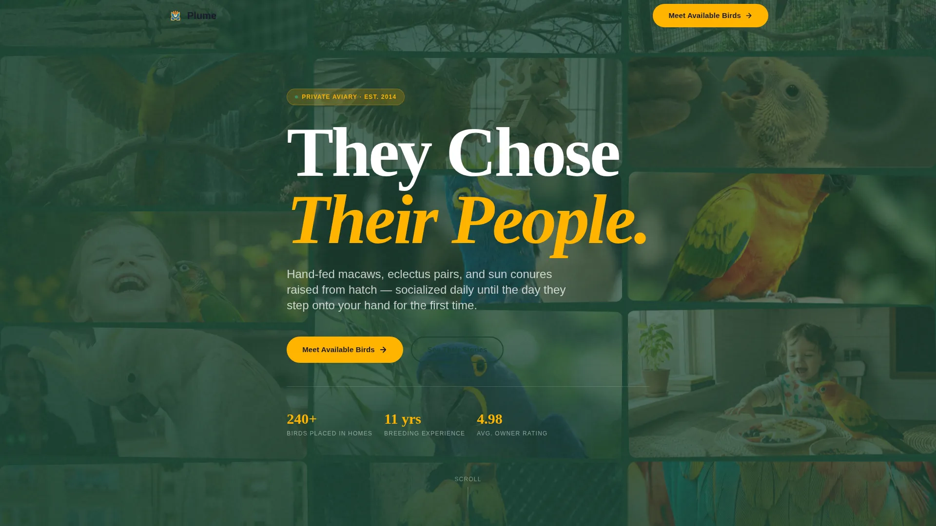 Exotic Bird Breeder Landing Page Template