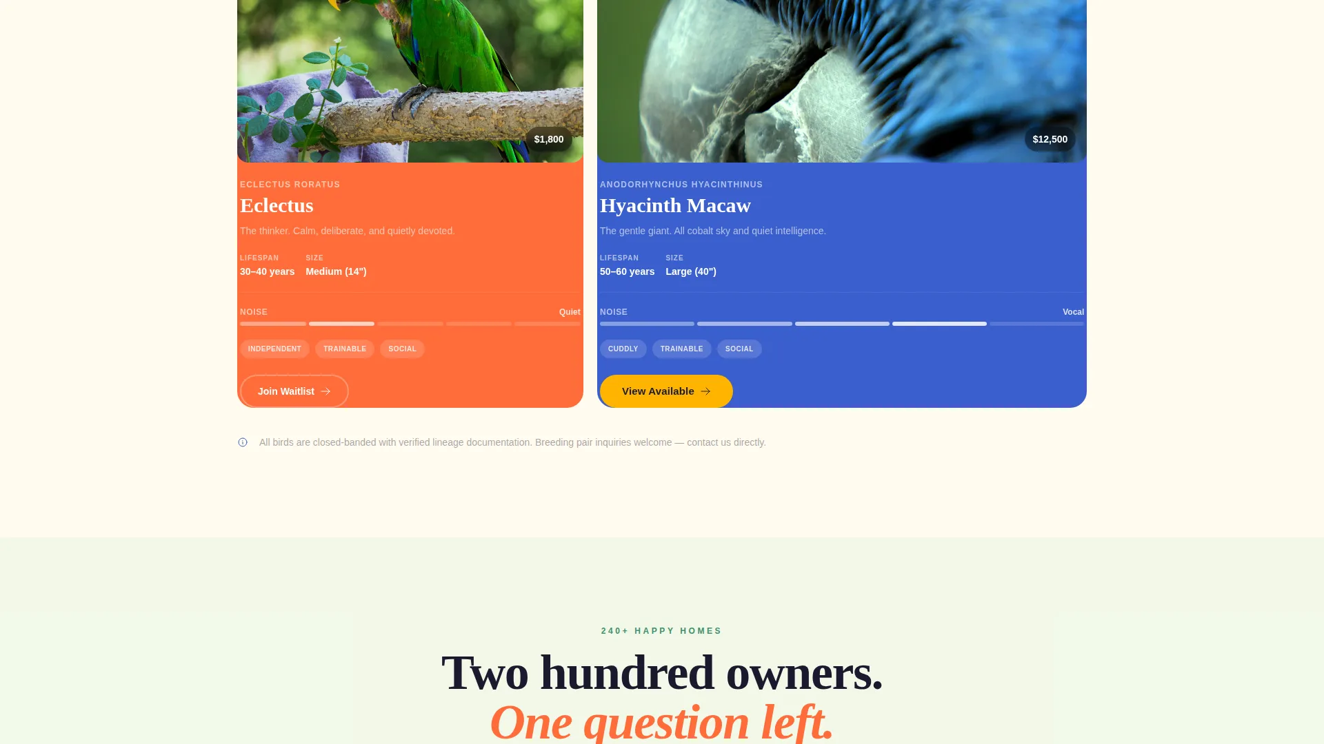 Exotic Bird Breeder Landing Page Template