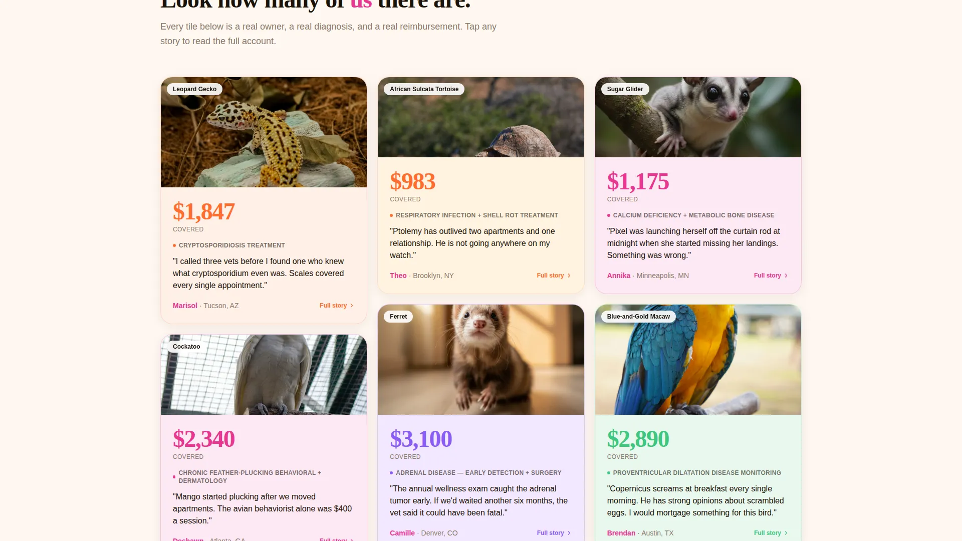 Exotic Pet Insurance Landing Page Template