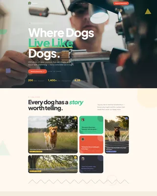 Pet Boarding & Daycare Specialist Booking Website Template