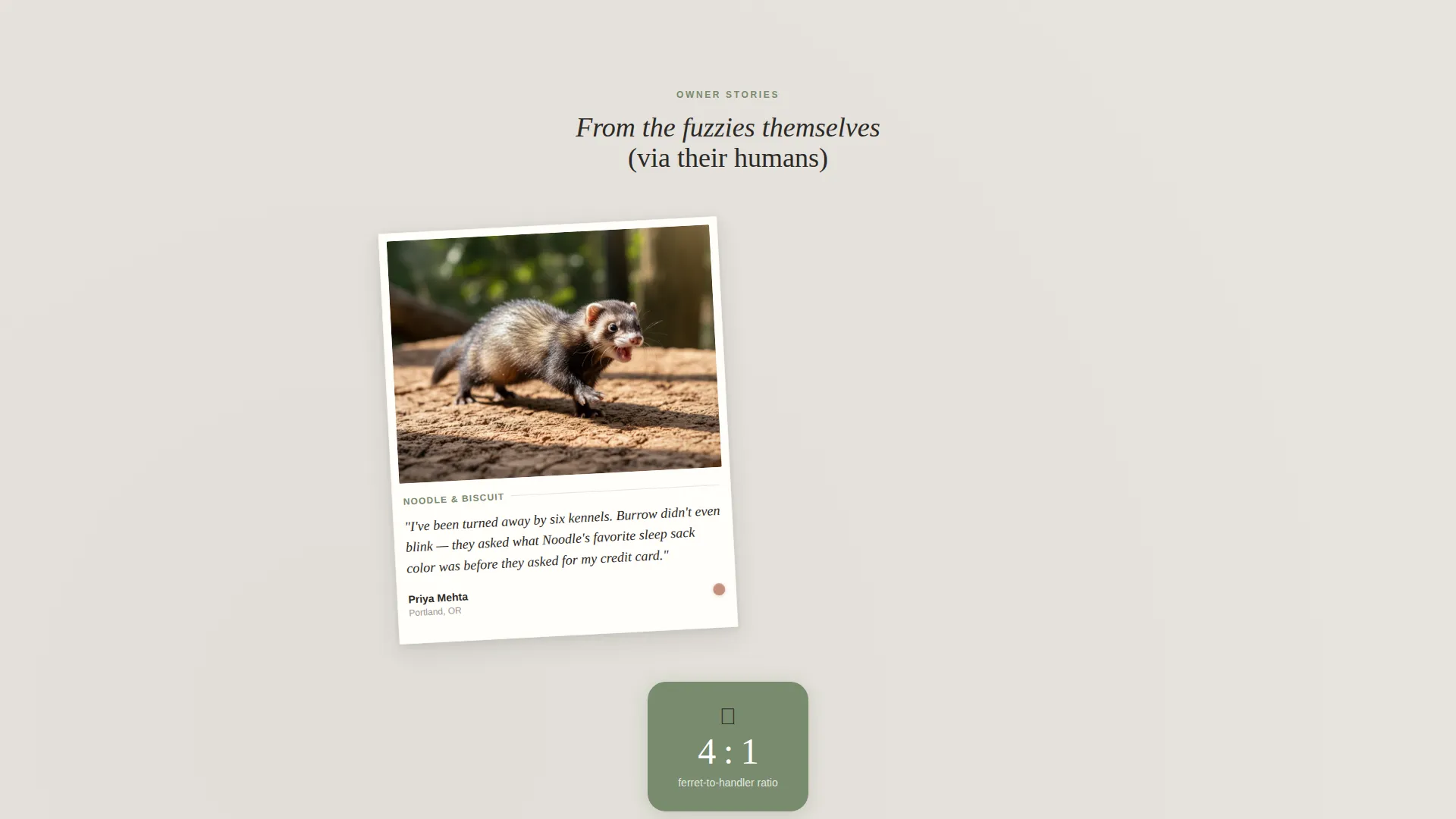 Ferret Boarding Landing Page Template
