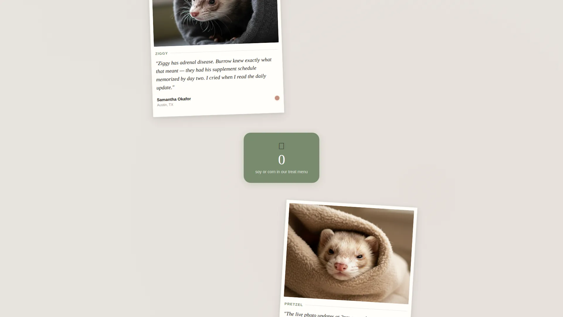 Ferret Boarding Landing Page Template