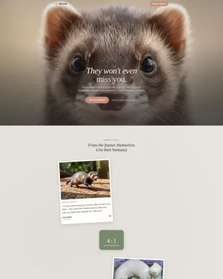 Ferret Boarding Landing Page Template