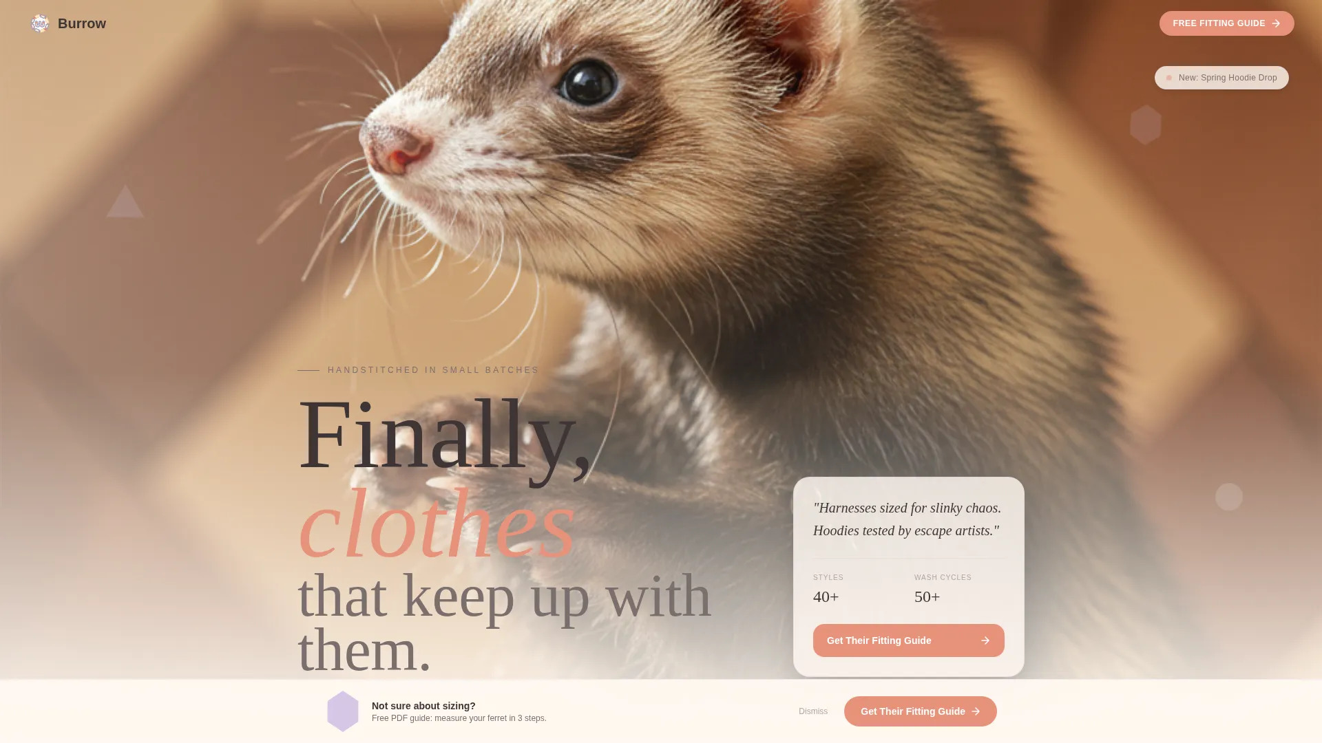 Ferret Clothing & Accessories Landing Page Template