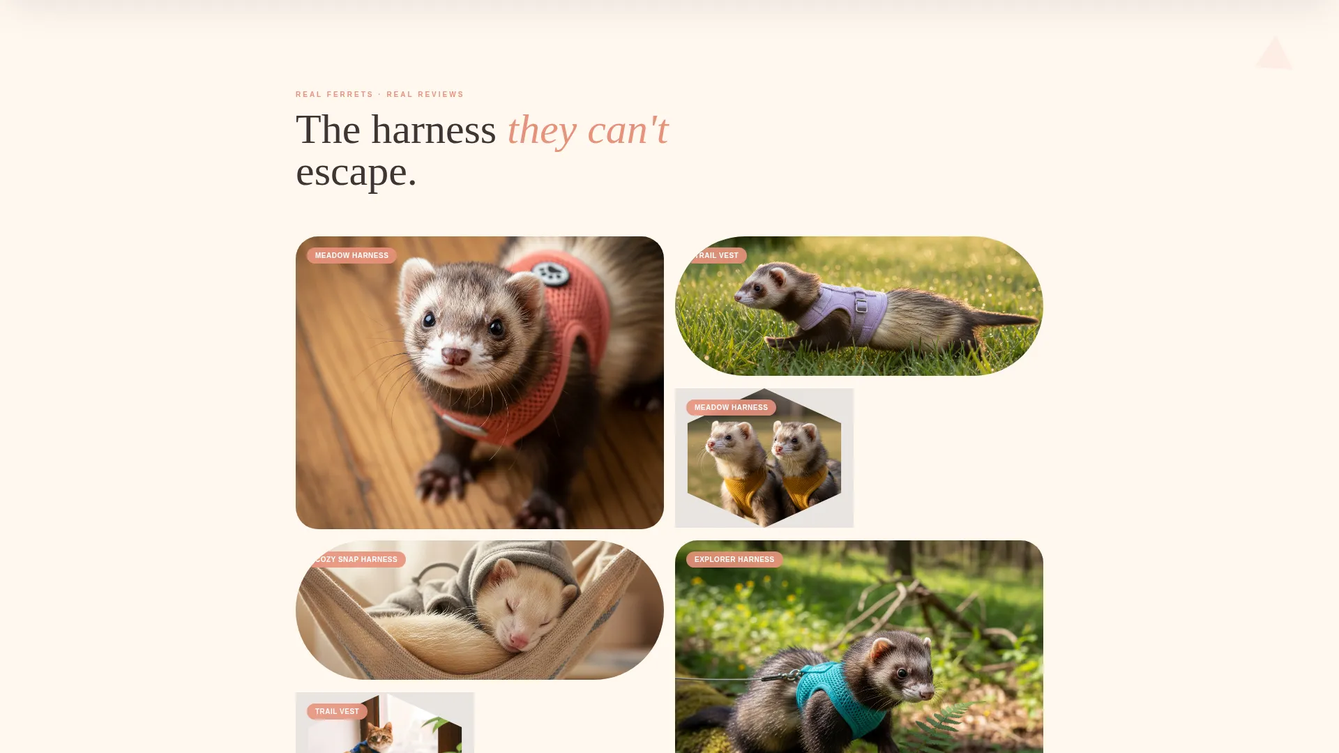 Ferret Clothing & Accessories Landing Page Template