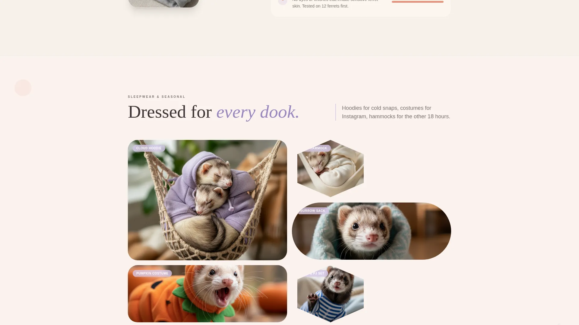 Ferret Clothing & Accessories Landing Page Template