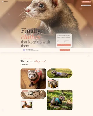 Ferret Clothing & Accessories Landing Page Template