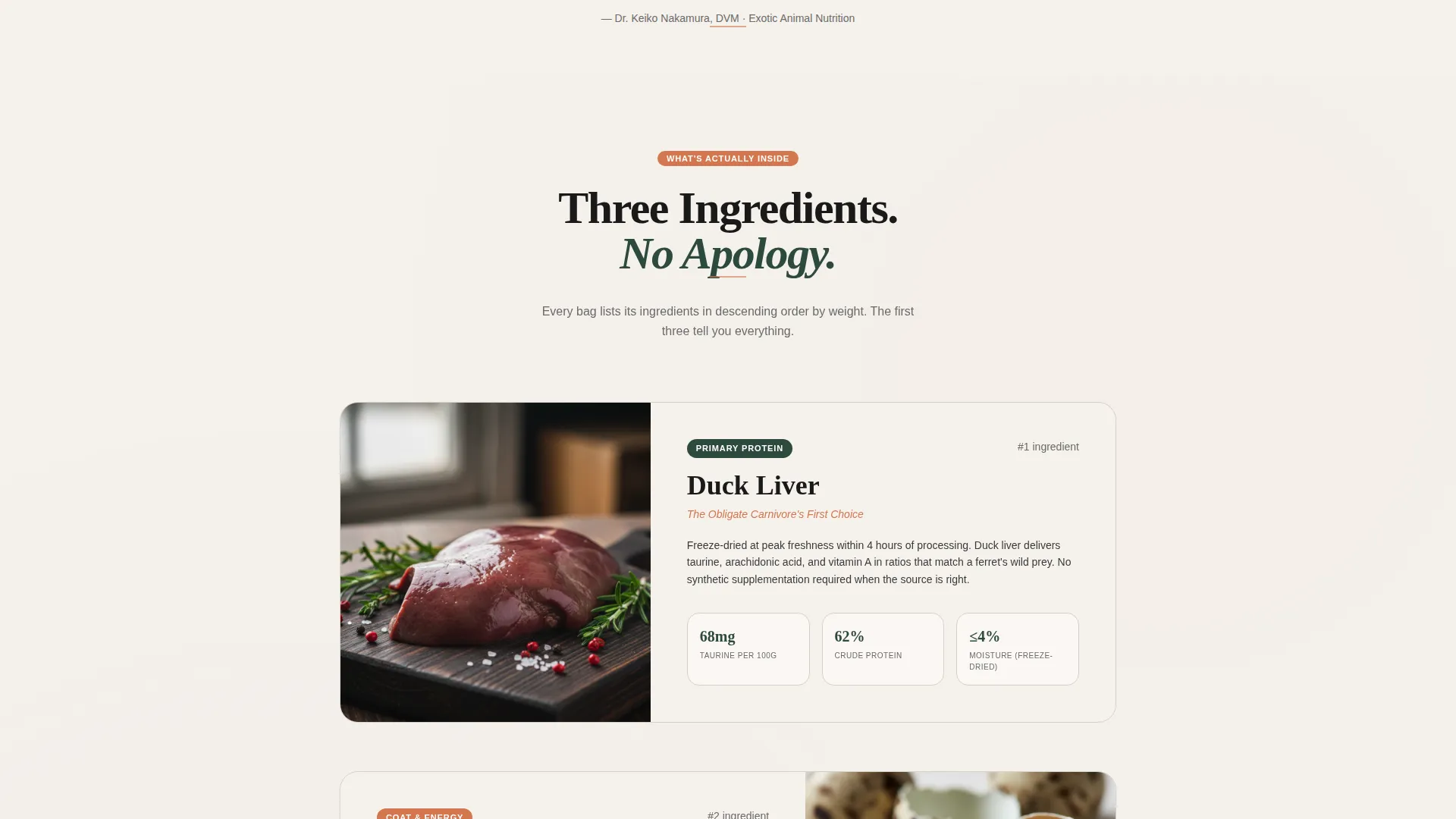 Premium Food Landing Page Template