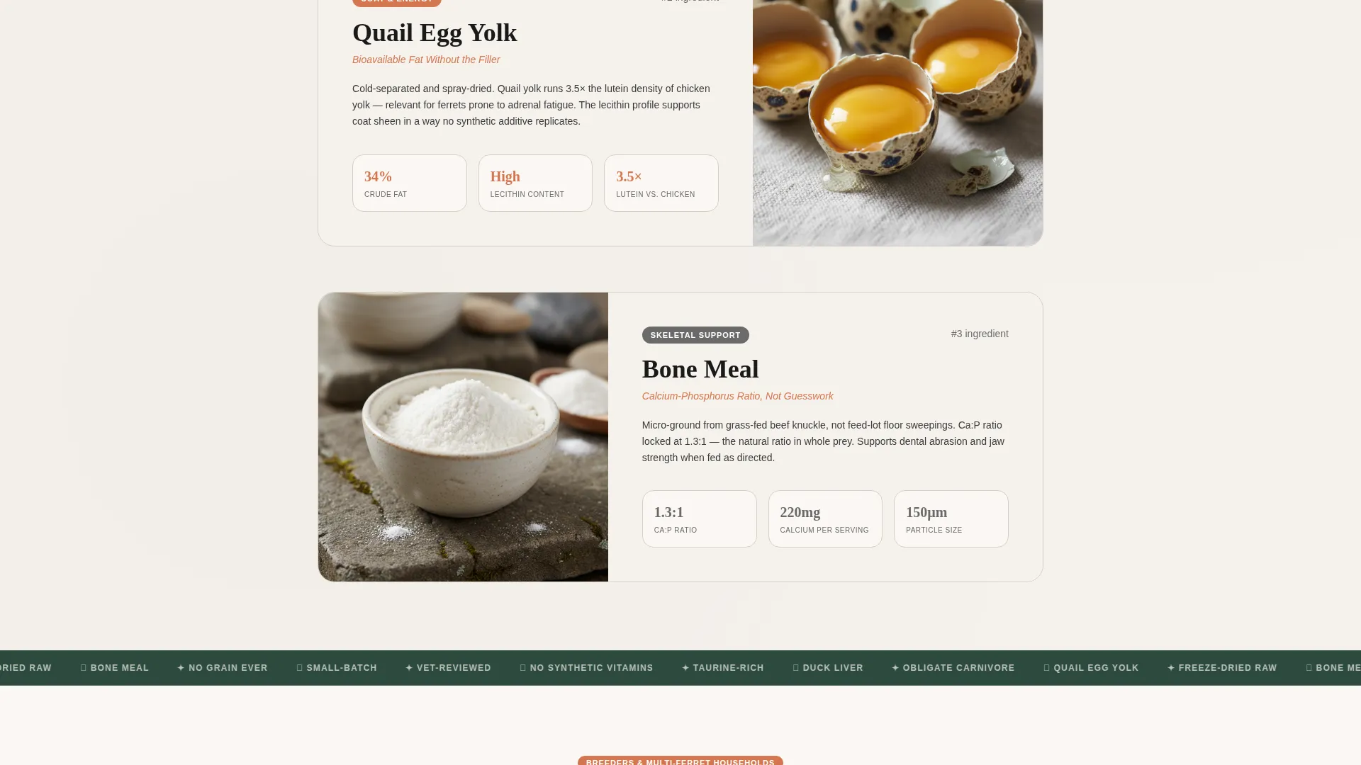 Premium Food Landing Page Template