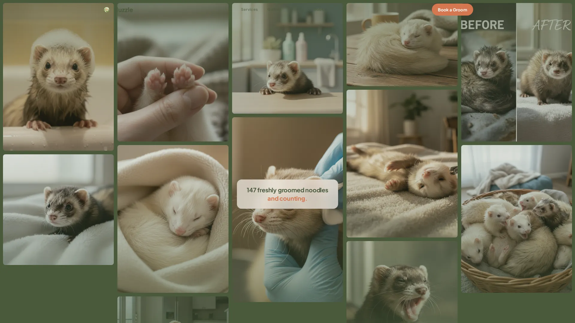Ferret Grooming Landing Page Template