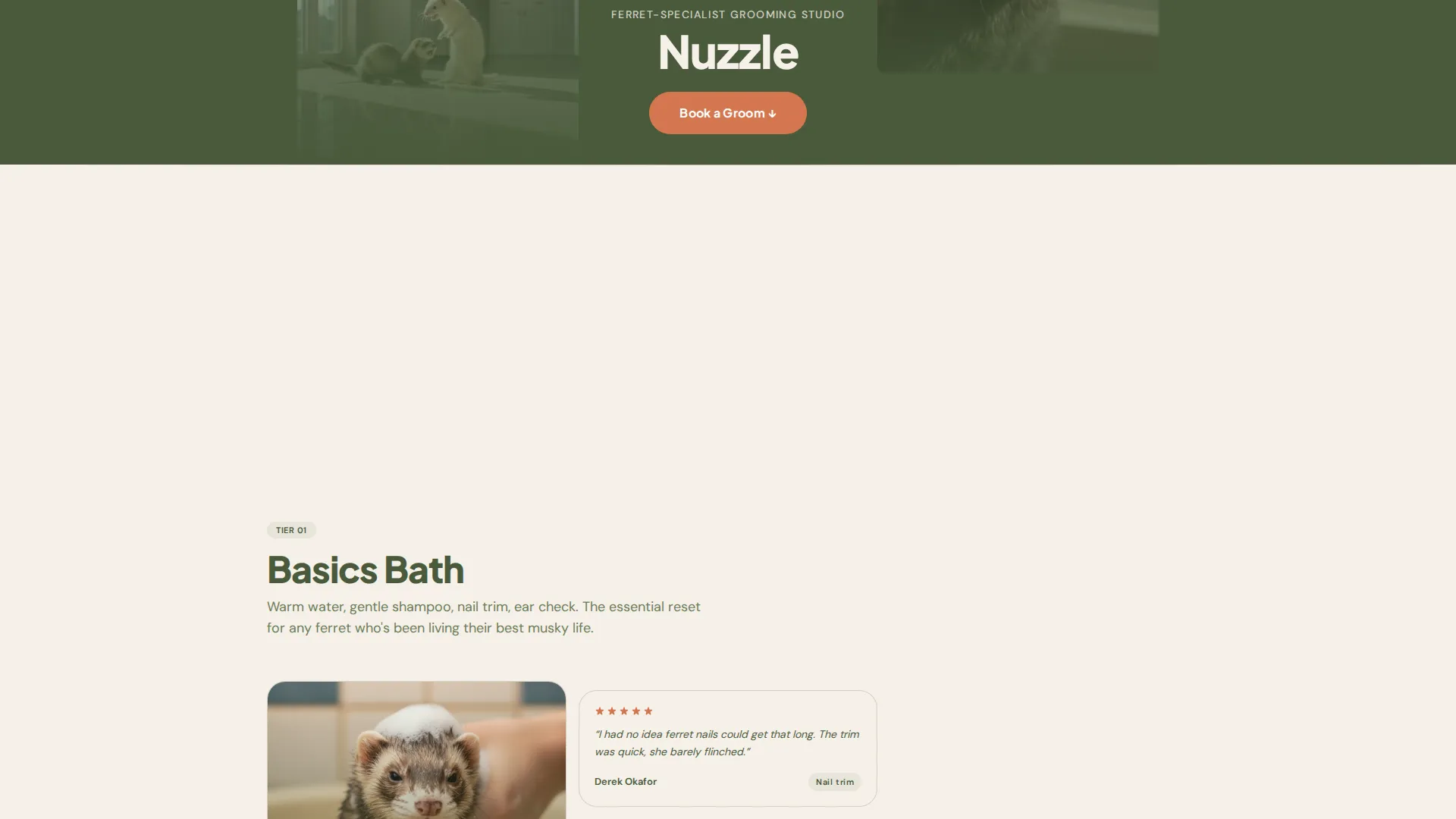 Ferret Grooming Landing Page Template