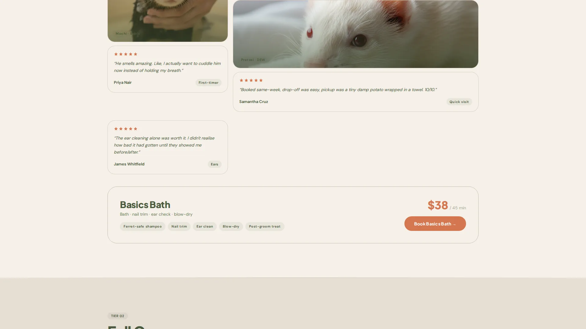 Ferret Grooming Landing Page Template