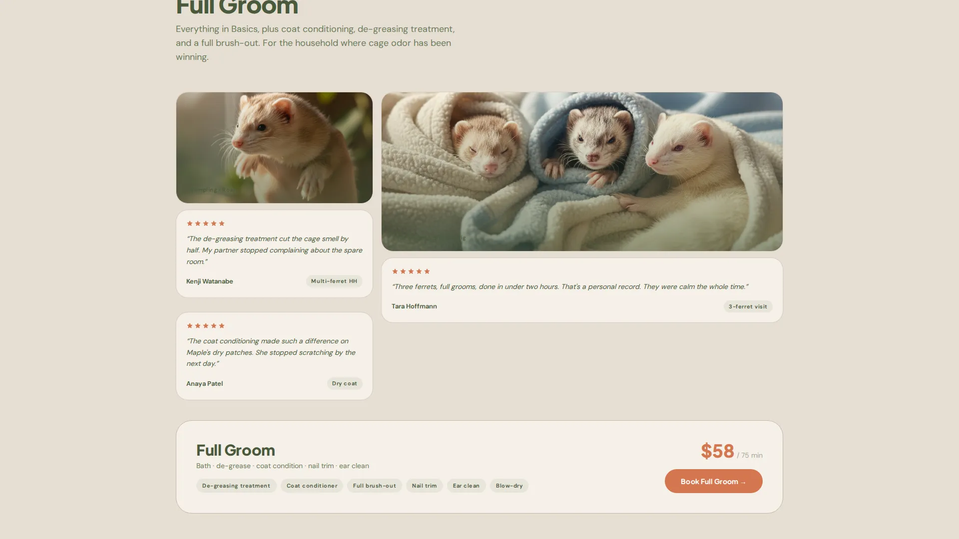 Ferret Grooming Landing Page Template