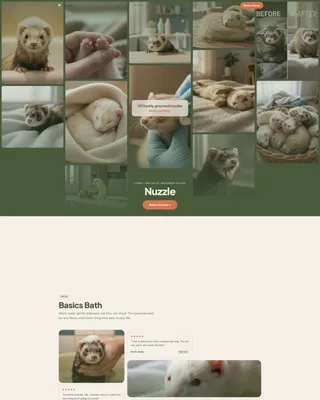 Ferret Grooming Landing Page Template