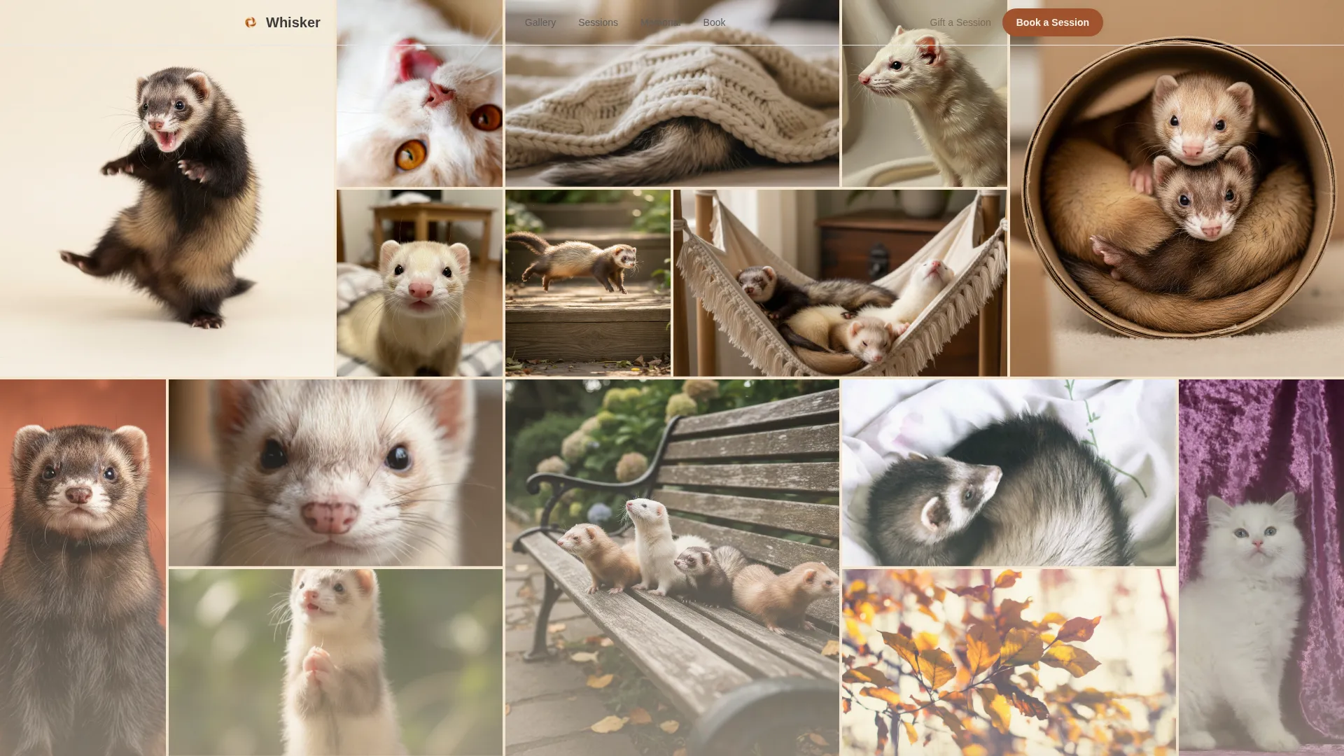 Ferret Photography Booking Landing Page Template