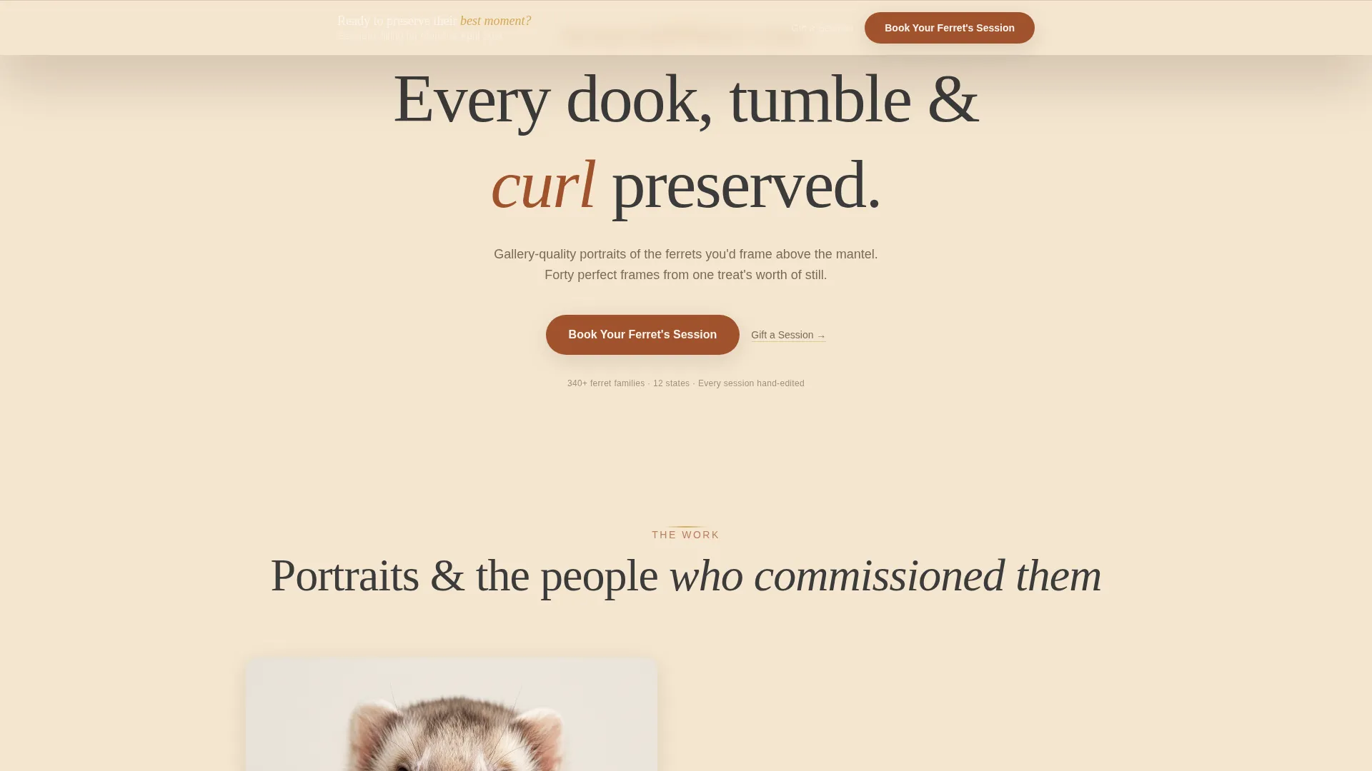 Ferret Photography Booking Landing Page Template