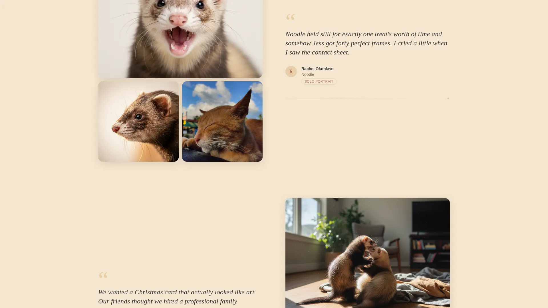 Ferret Photography Booking Landing Page Template