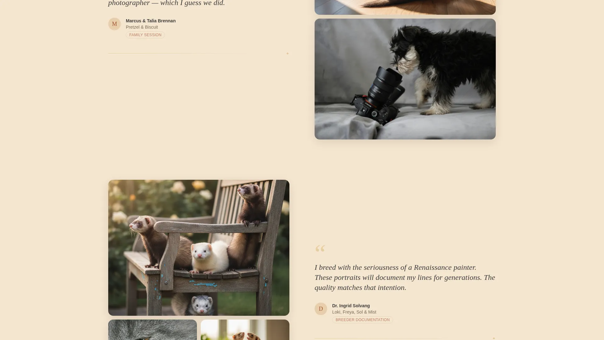 Ferret Photography Booking Landing Page Template
