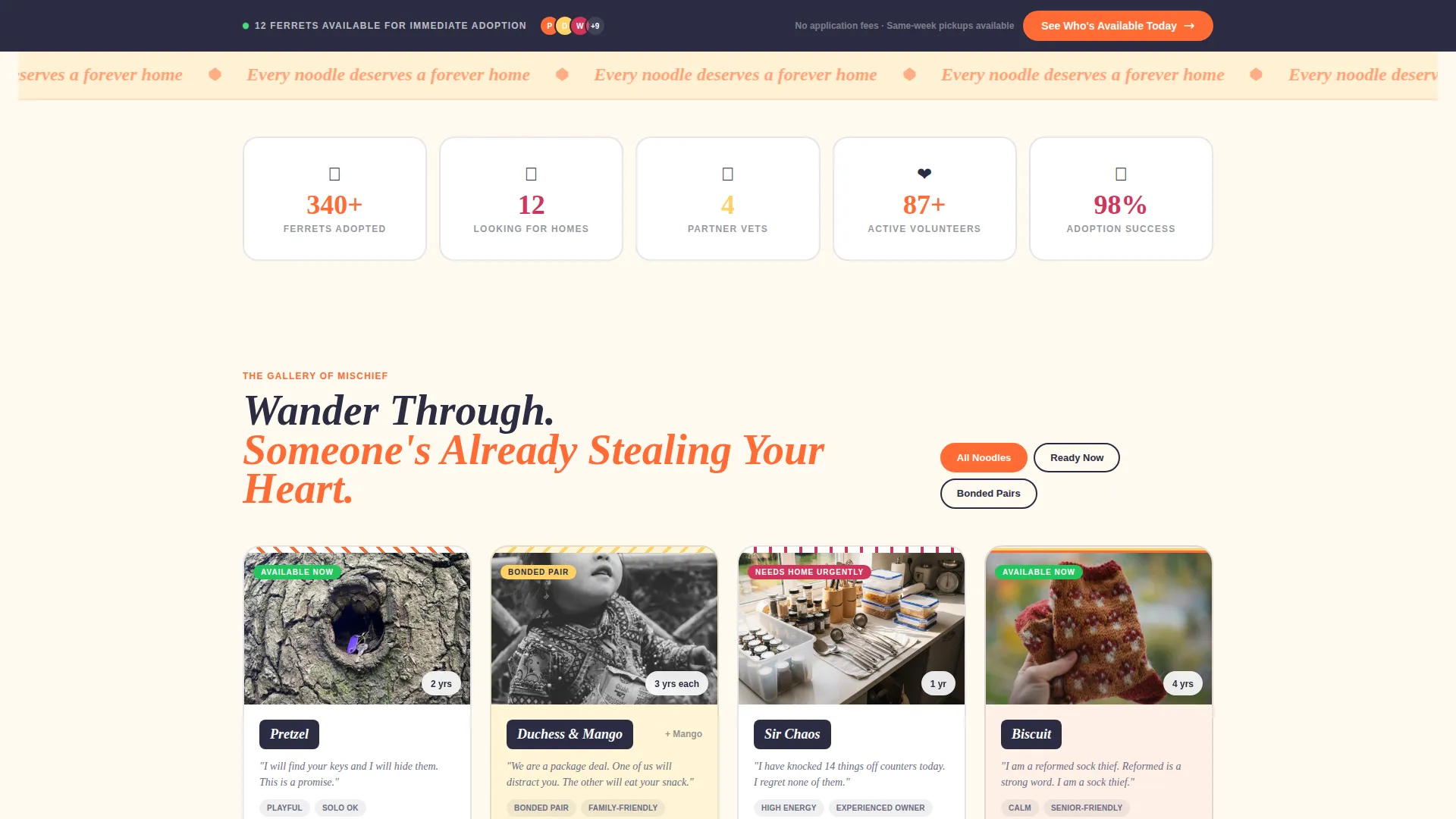 Rescue Landing Page Template - Playful Card Grid