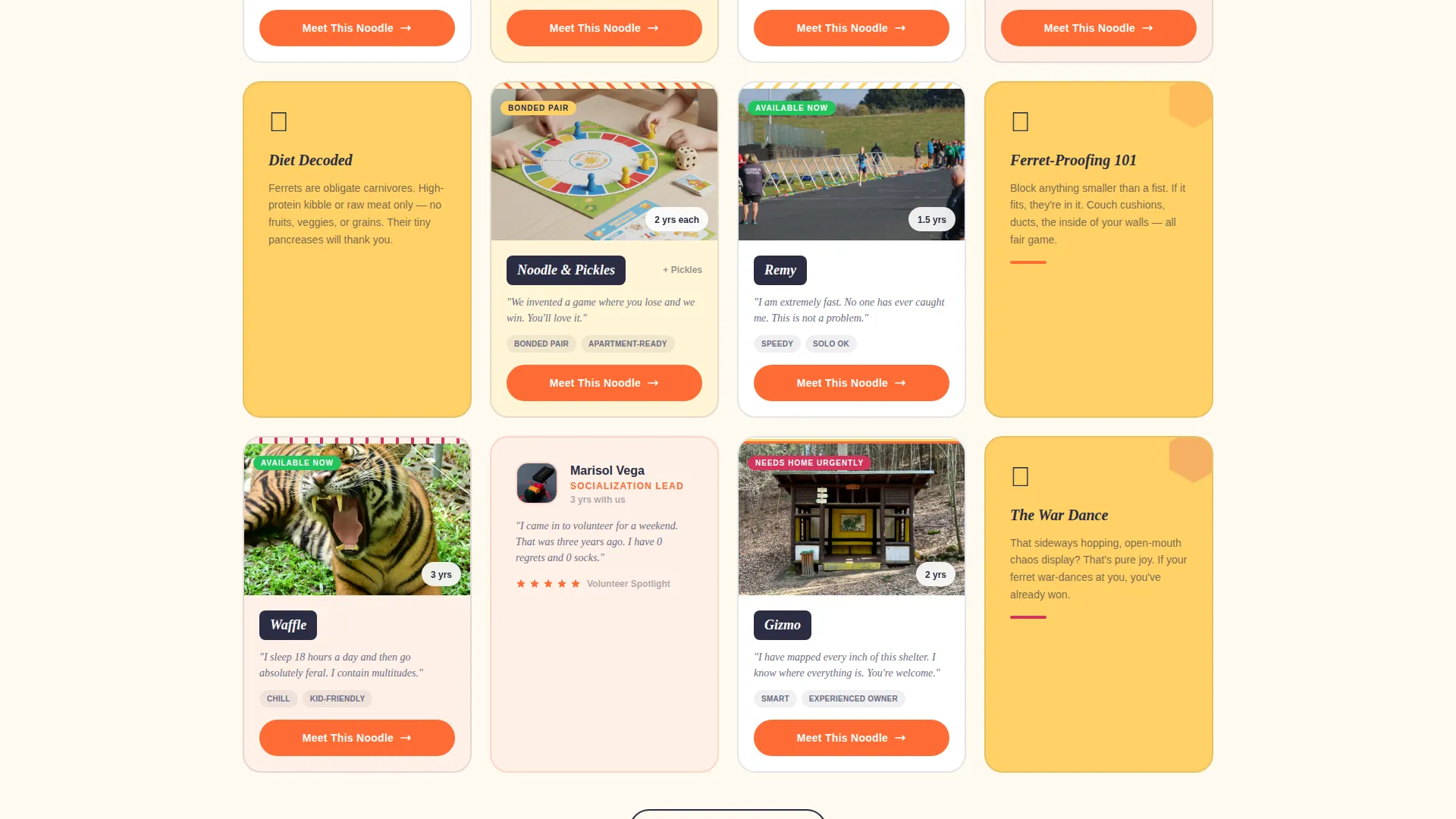 Rescue Landing Page Template - Playful Card Grid